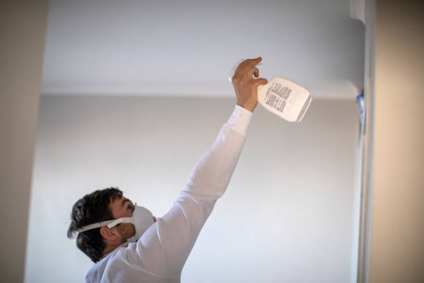 Best Same-Day Mold Removal  in Sonora, TX