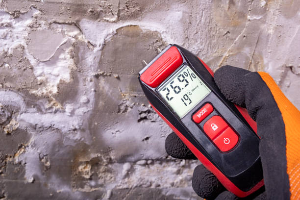 Best Mold Remediation  in Sonora, TX