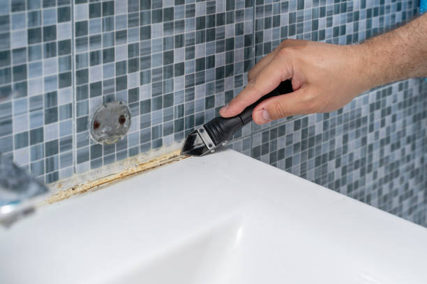 Best Mold Removal Near Me  in Sonora, TX