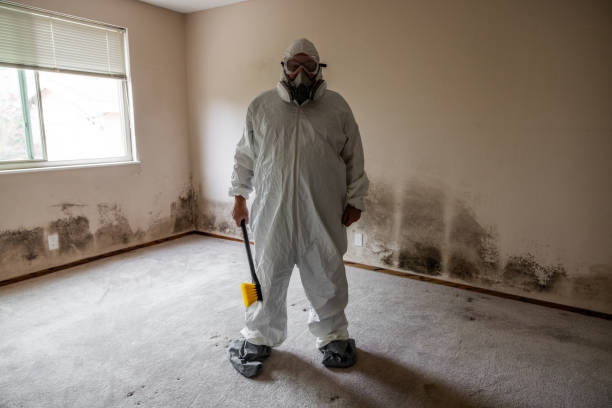 Best Office Mold Removal Services  in Sonora, TX